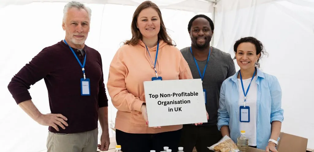 Top Non-Profitable Organisation (NPO) in UK